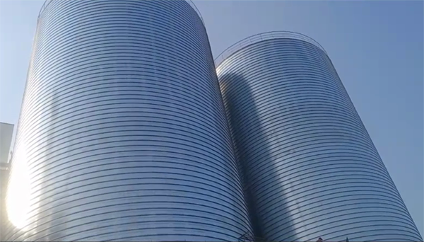 红旗2座混凝土高架卷板仓